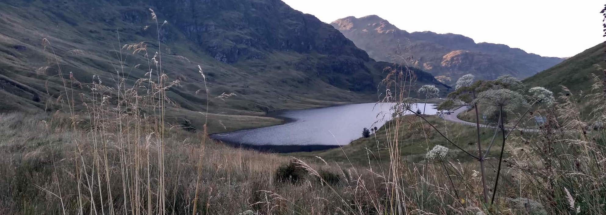 Beautiful view out across a loch that's surrounded by hills. Photo is shot with grass seed heads out of focus in the foreground