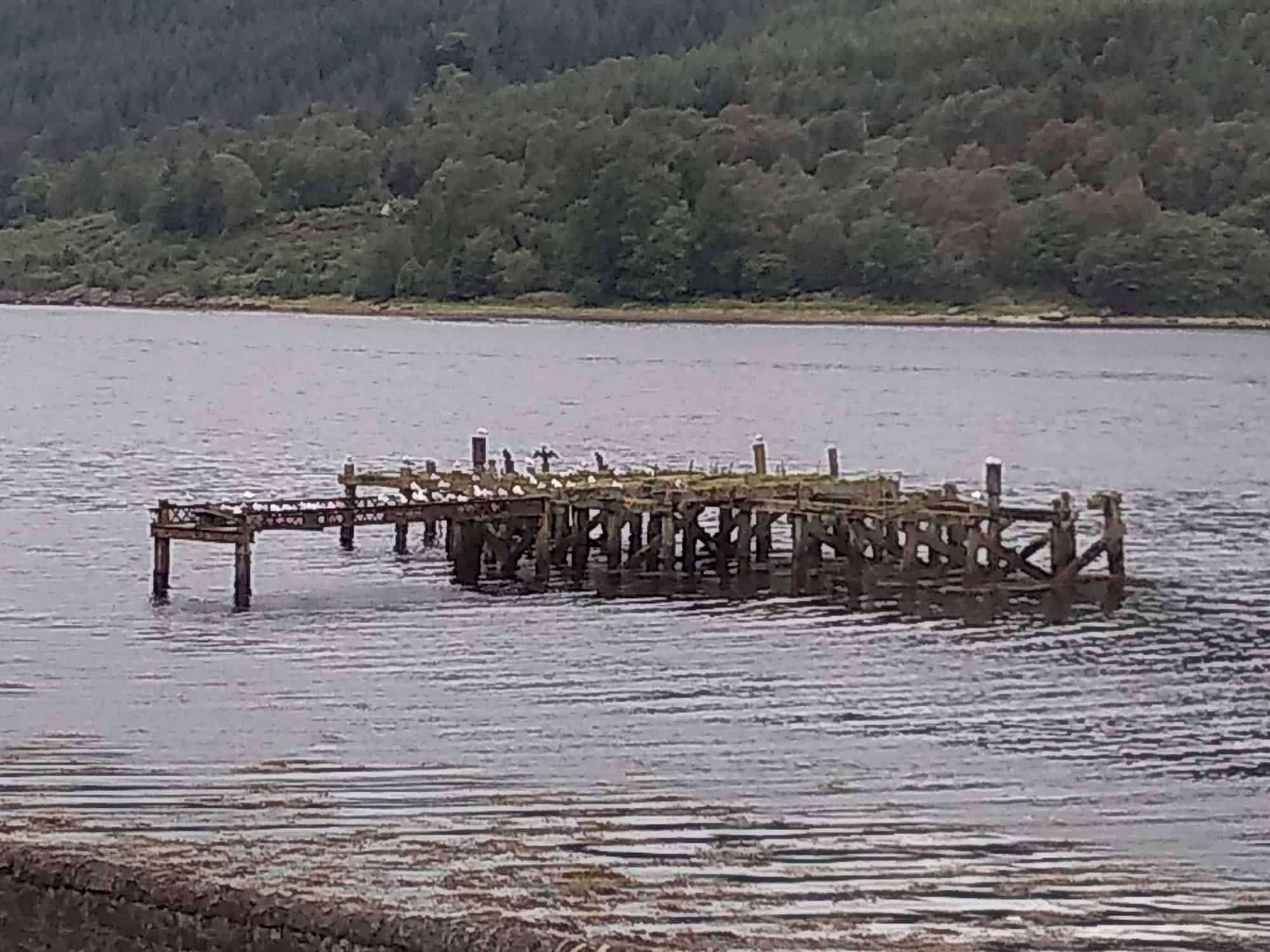 Lots of birds on an old abandoned, broken pier, and one of them has its wings held out, to dry them in the wind