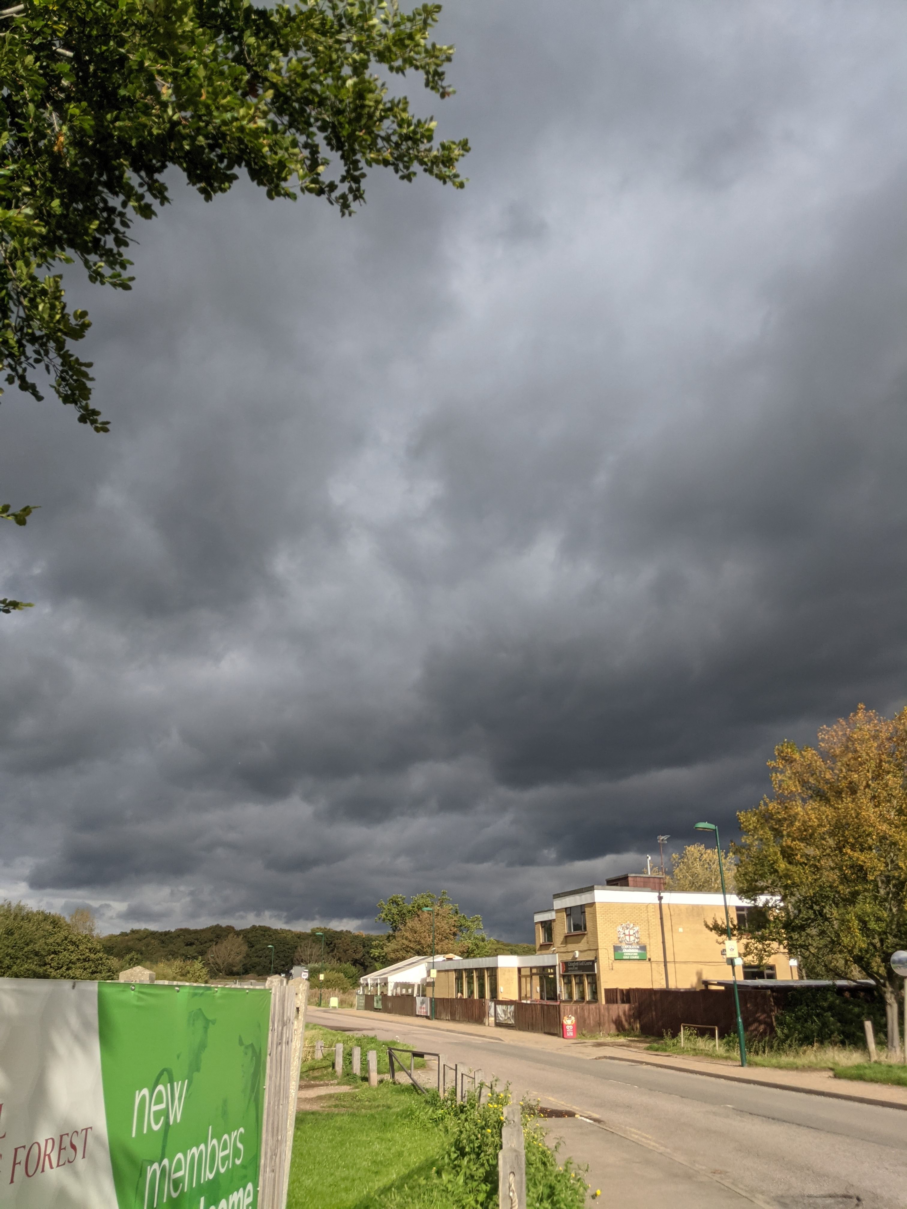 Dark stormy clouds in the sky, looming over the forest