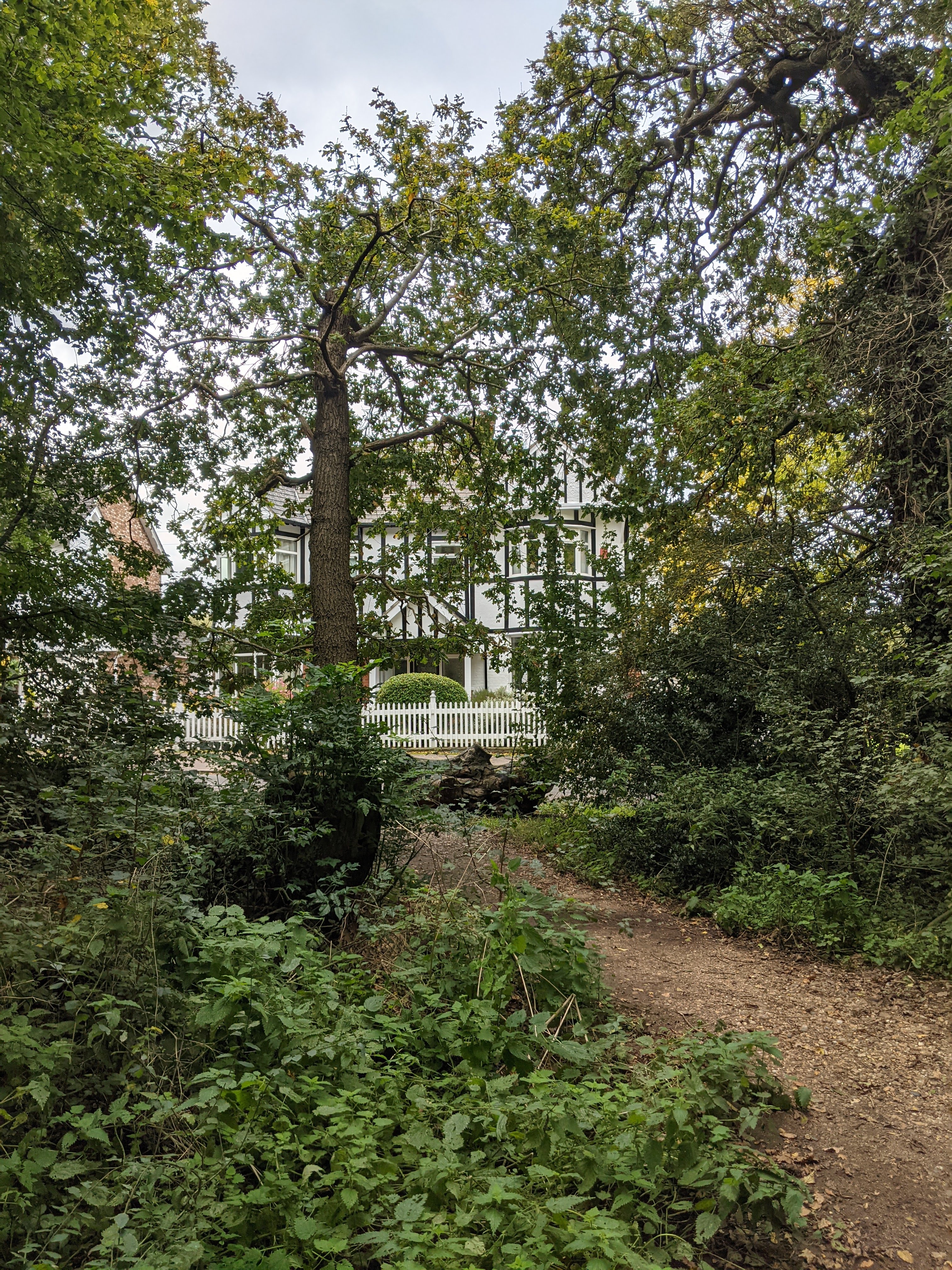 White house with black wood planks decorating the outside, in a Tudor style, peeking through the forest trees