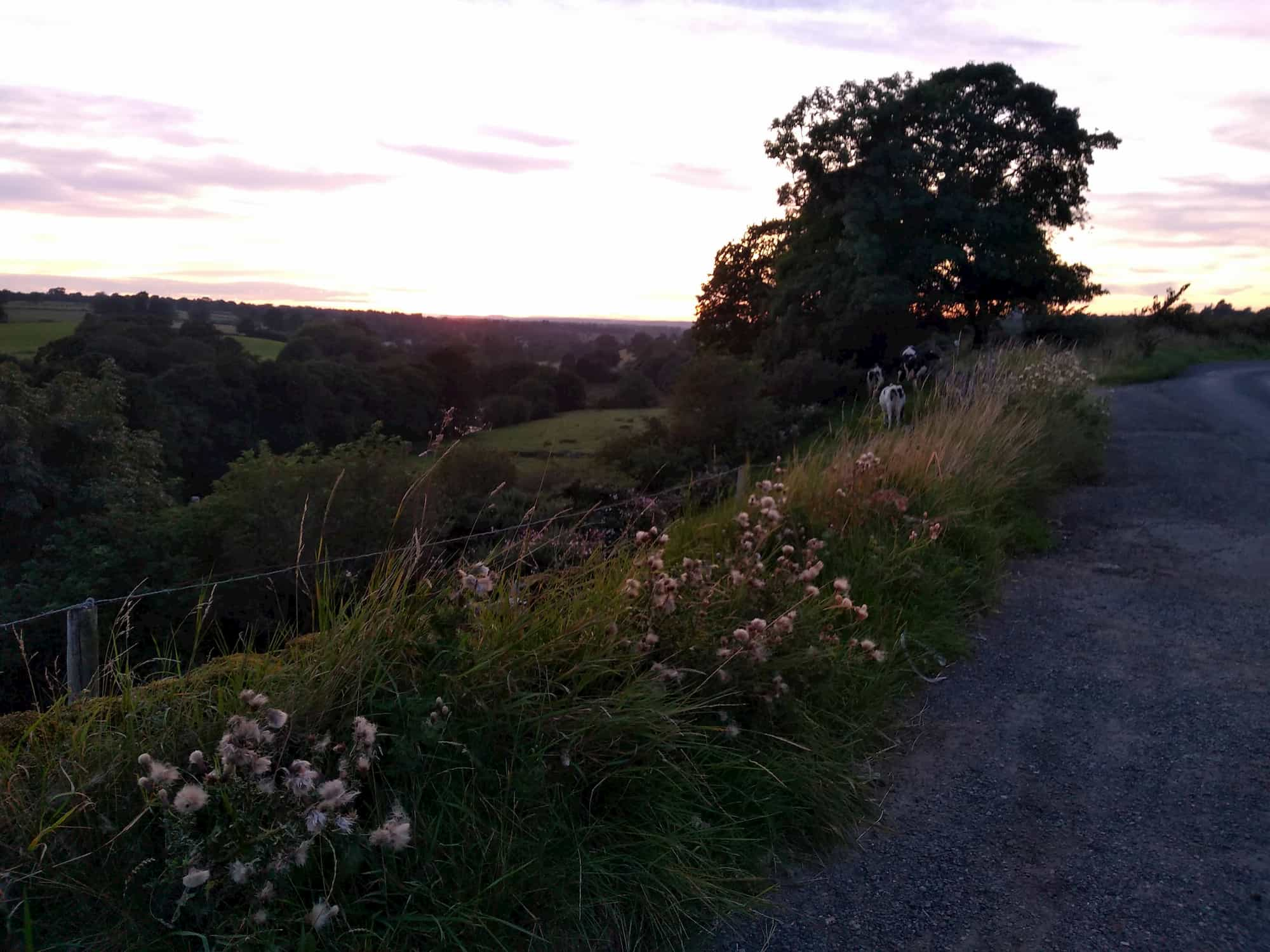 Yorkshire dales in the evening, en route to Middleton-upon-Teesdale